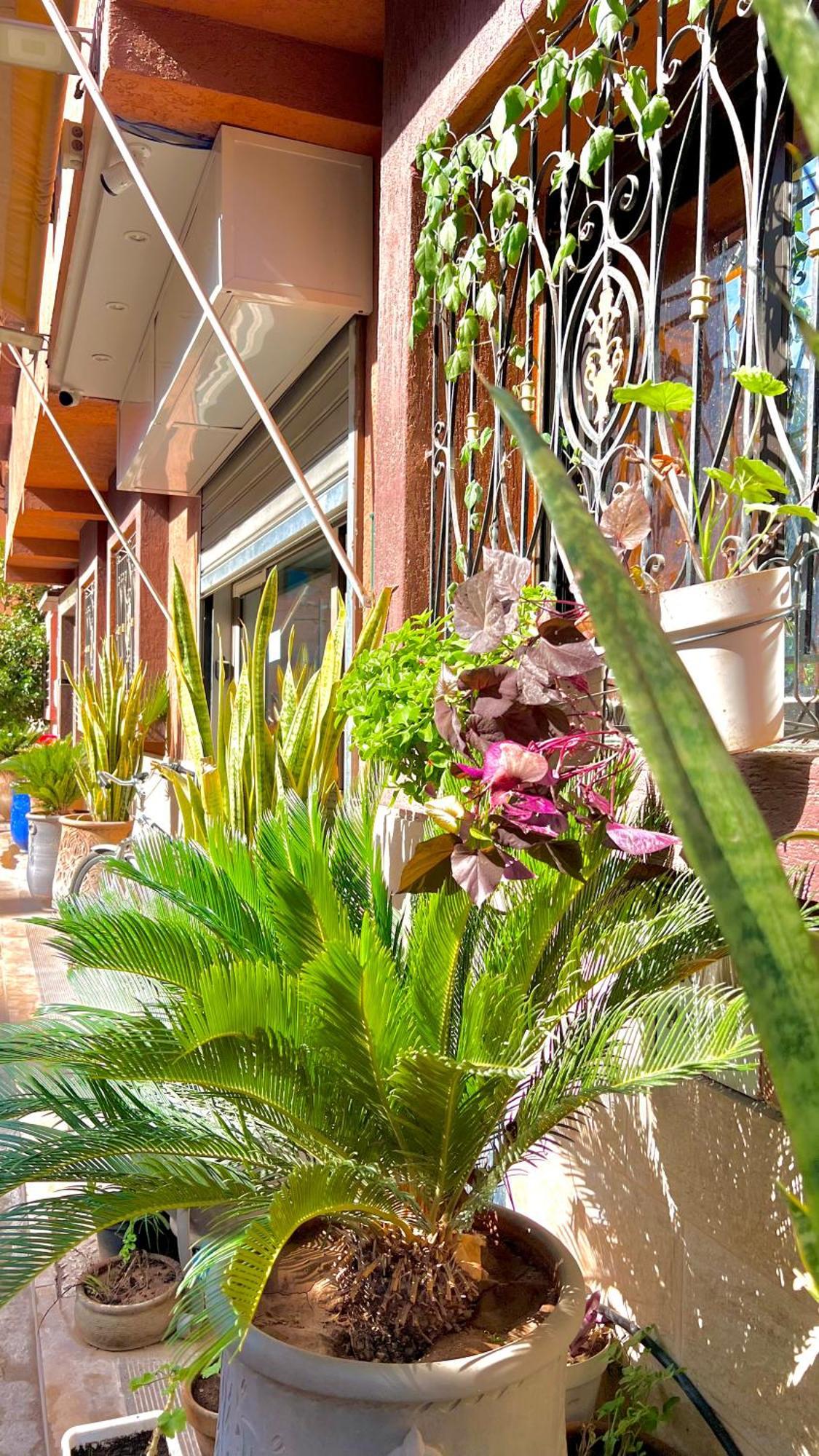 Sabor Aparts Jawharat Al Atlas -Only Family Marrakesh Exterior foto